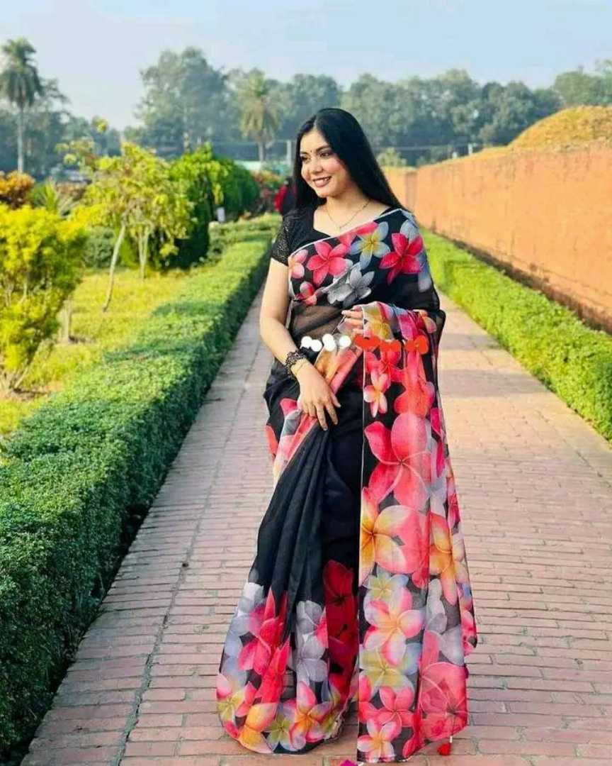 চান্দেরী,সিল্ক,
