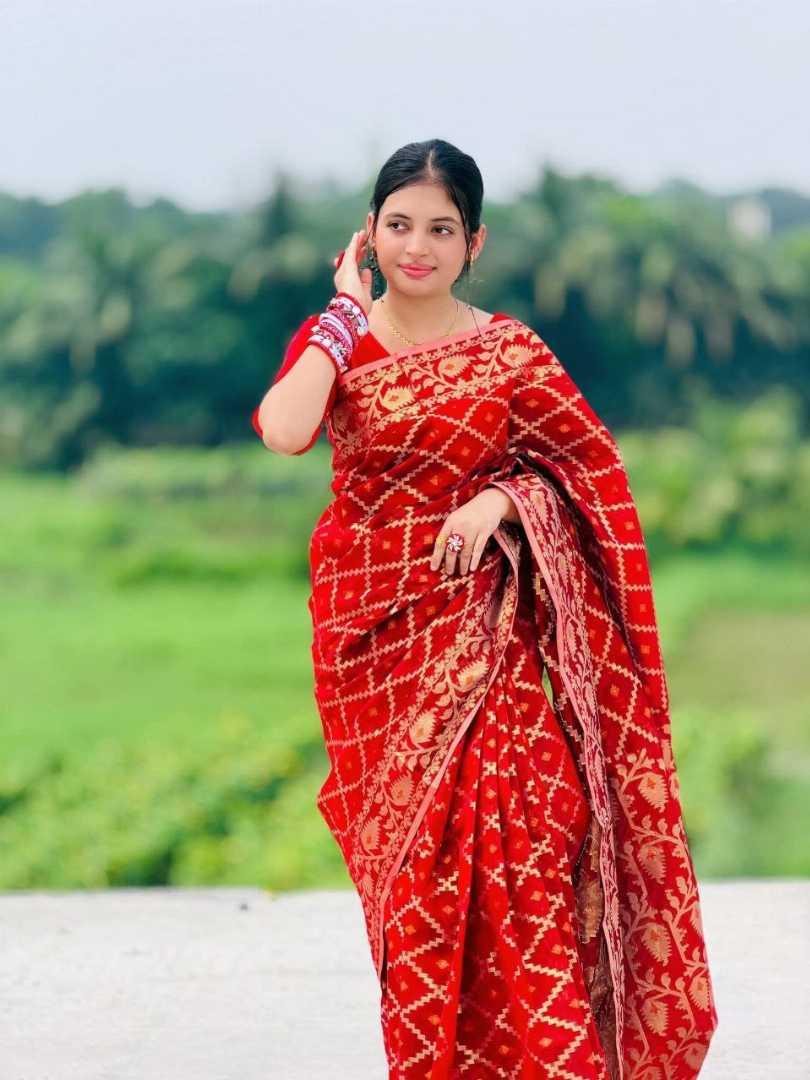 সিলেটী,বক্স,ডিজাইন,জরি,জামদানী,শাড়ি,ব্লাউজ,পিছসহ