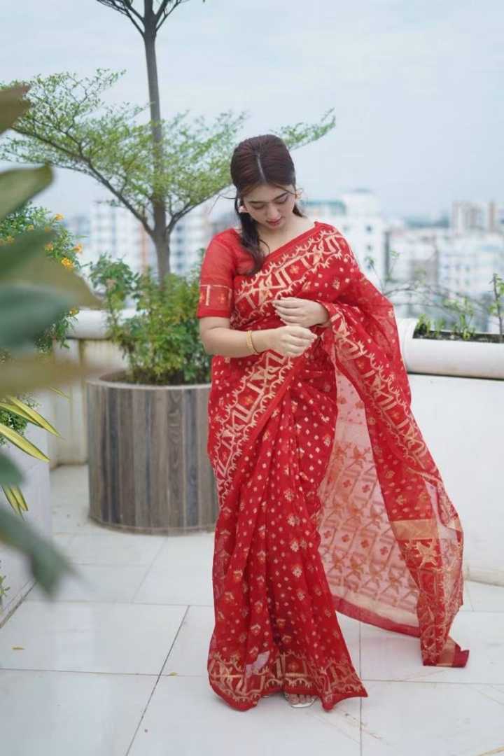 ঢাকাই,জরি,জামদানী,শাড়ি,ব্লাউজ,পিছসহ